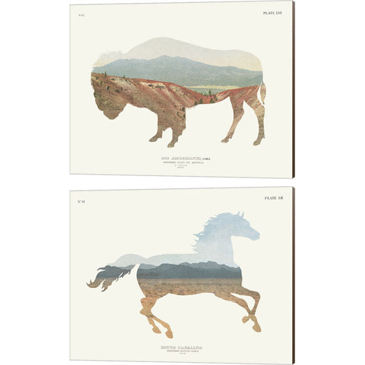 American Southwest Buffalo & Horse by Wild Apple Portfolio, 2 Piece Canvas Art Set