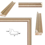 9x9 Frame Scoop Silver Gold Leaf Wash Picture Frame