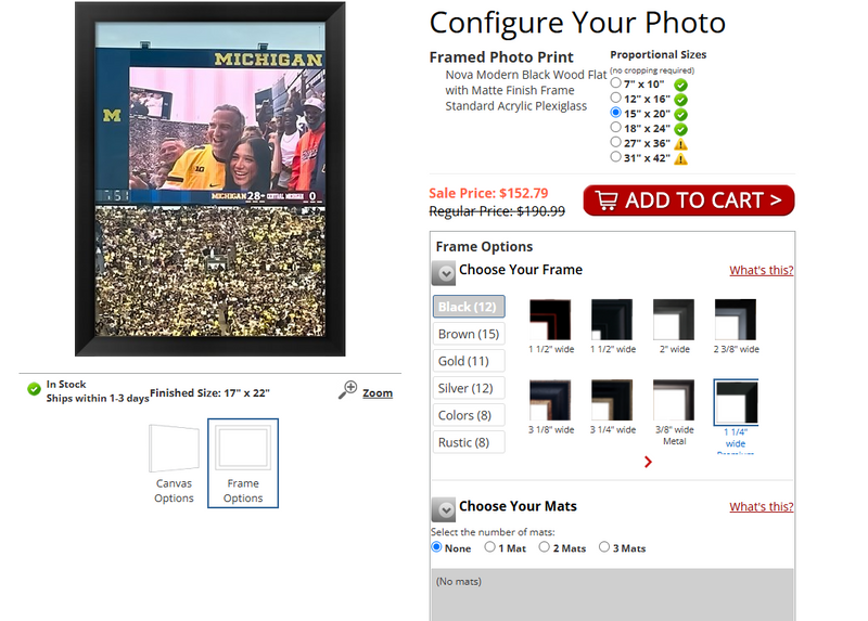 17x24 print framed in black wood frame