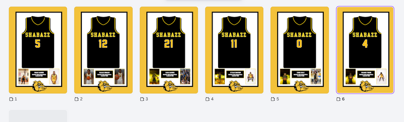 6 frame Jersey print 20x30 - Shabaz