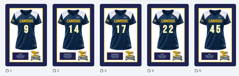 5 Jersey frames 24x36
