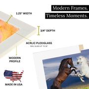 42x47 White Picture Frame For 42 x 47 Poster Art Photo - New Jersey Frame shop custom framing