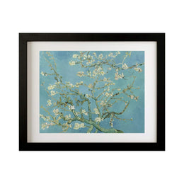 Almond Blossom by Vincent Van Gogh Framed art - Modern Memory Design Picture frames - New Jersey Frame shop custom framing