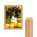 Antique Lined Gold Ornate Picture Frame Scoop - Modern Memory Design Picture frames - New Jersey Frame shop custom framing