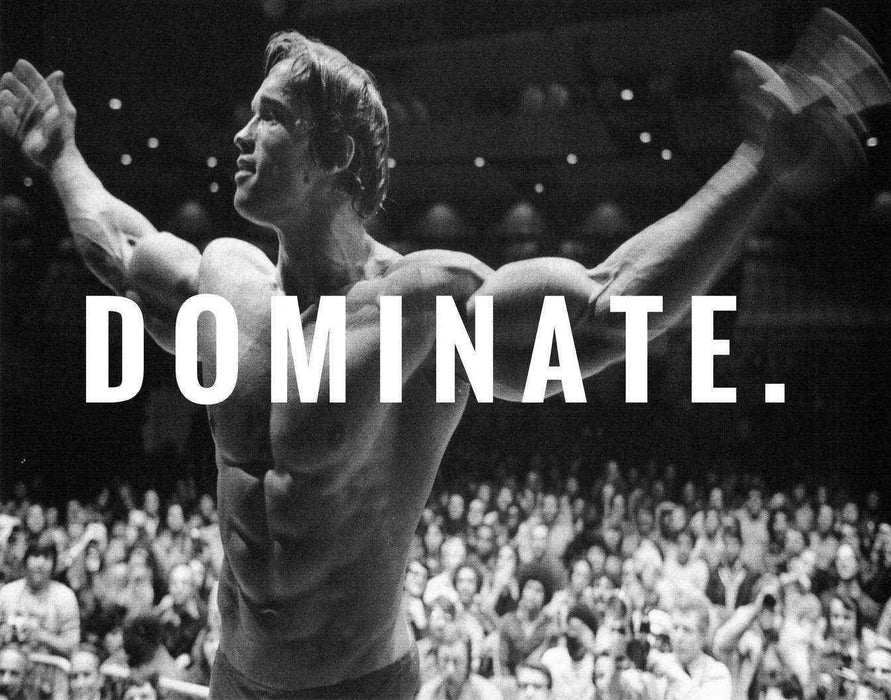 Arnold Schwarzenegger CONQUER Motivation Quote Poster