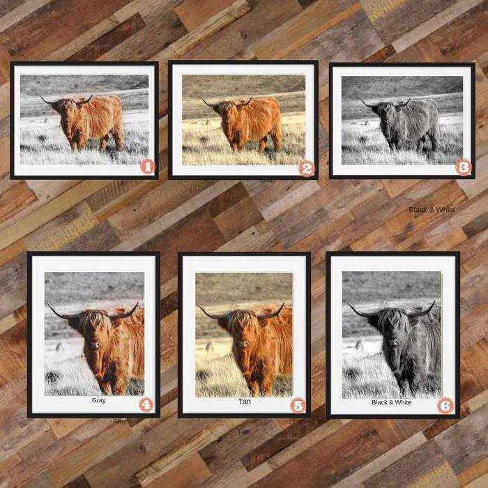 Highland Cow art print Buffalo Animal Print Decor