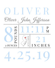 Baby Girl Newborn Nursery custom Birth stat frame print - Modern Memory Design Picture frames - New Jersey Frame shop custom framing