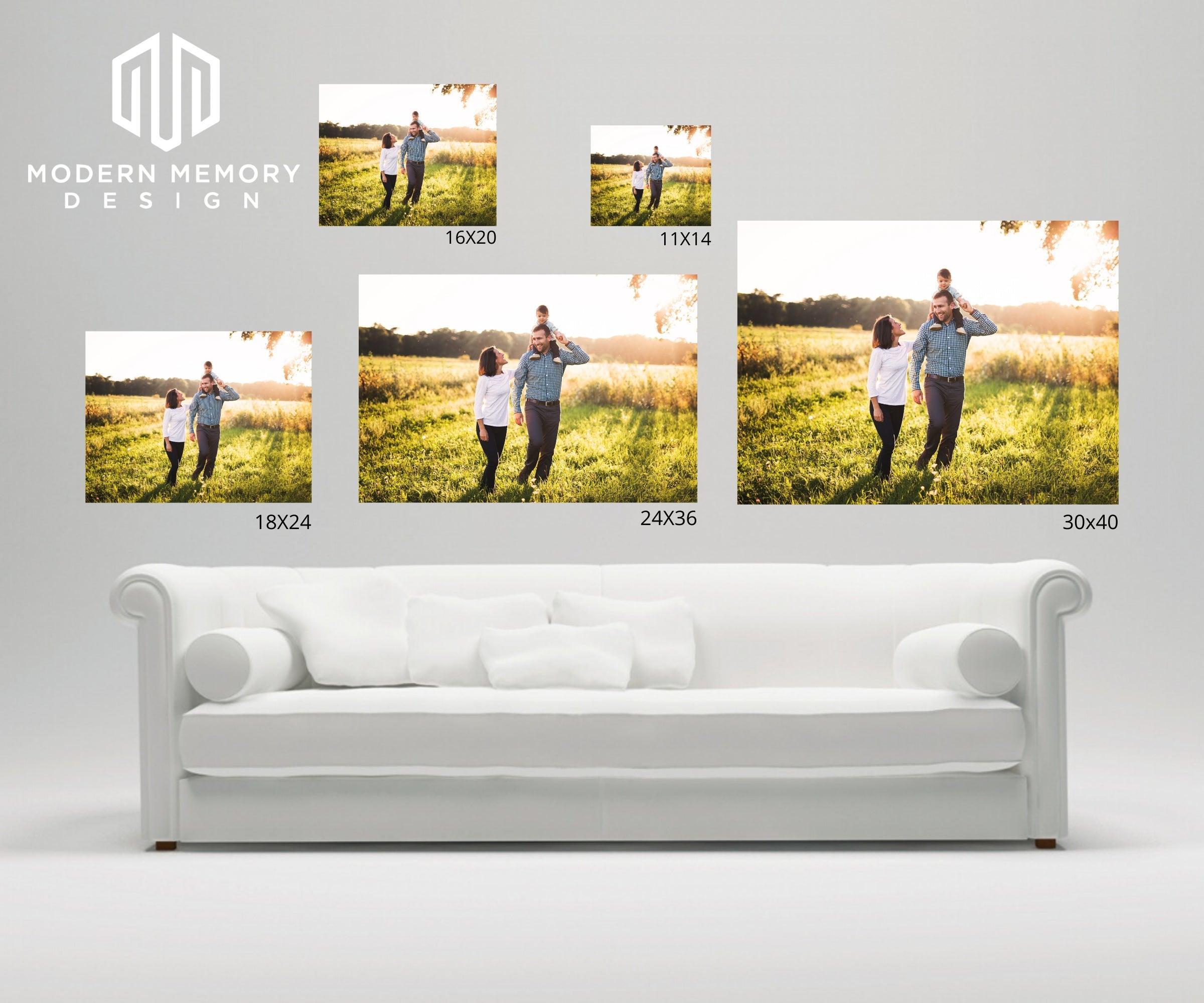 Bison Framed Art for Home Decor Square