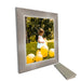Brushed Metal Silver Picture Frame Industrial Framing - Modern Memory Design Picture frames - New Jersey Frame shop custom framing