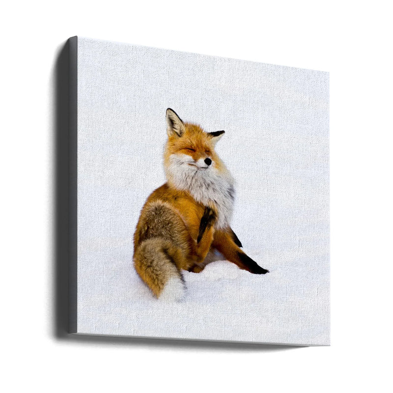Winterfox by Pia Lindström Square Canvas Print Art for Modern Home Decor. Decorate your office or living room with canvas artwork