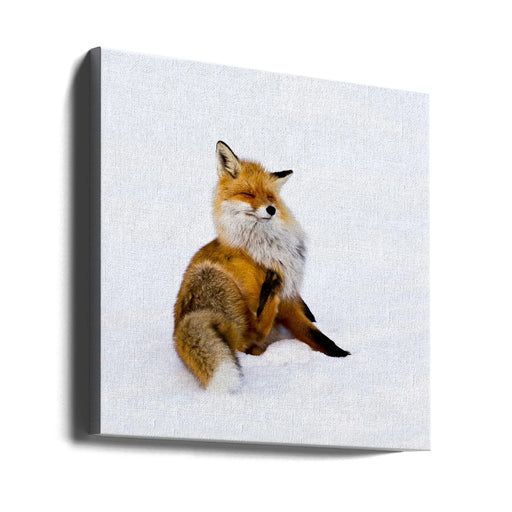 Winterfox by Pia Lindström Square Canvas Print Art for Modern Home Decor. Decorate your office or living room with canvas artwork