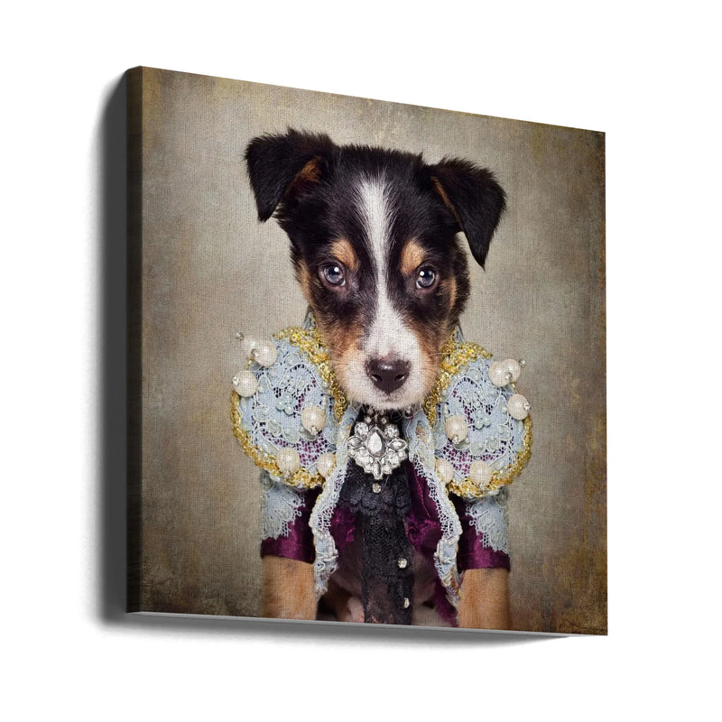 Shelter Pets Project - Loki Square Canvas Art  Tammy Swarek 