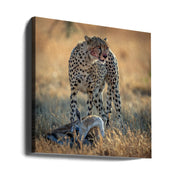 cheetah by AHMAD AL SAFFAR Square Canvas Print Art for Modern Home Decor. Decorate your office or living room with canvas artwork