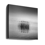 Black and White Silence Square Canvas Art  George Digalakis 