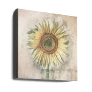 sunflower by Kerstin Kaufmann Square Canvas Print Art for Modern Home Decor. Decorate your office or living room with canvas artwork