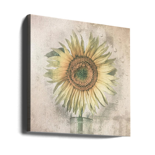 sunflower by Kerstin Kaufmann Square Canvas Print Art for Modern Home Decor. Decorate your office or living room with canvas artwork