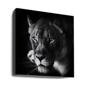 The Look Square Canvas Art  Jerry Berry 