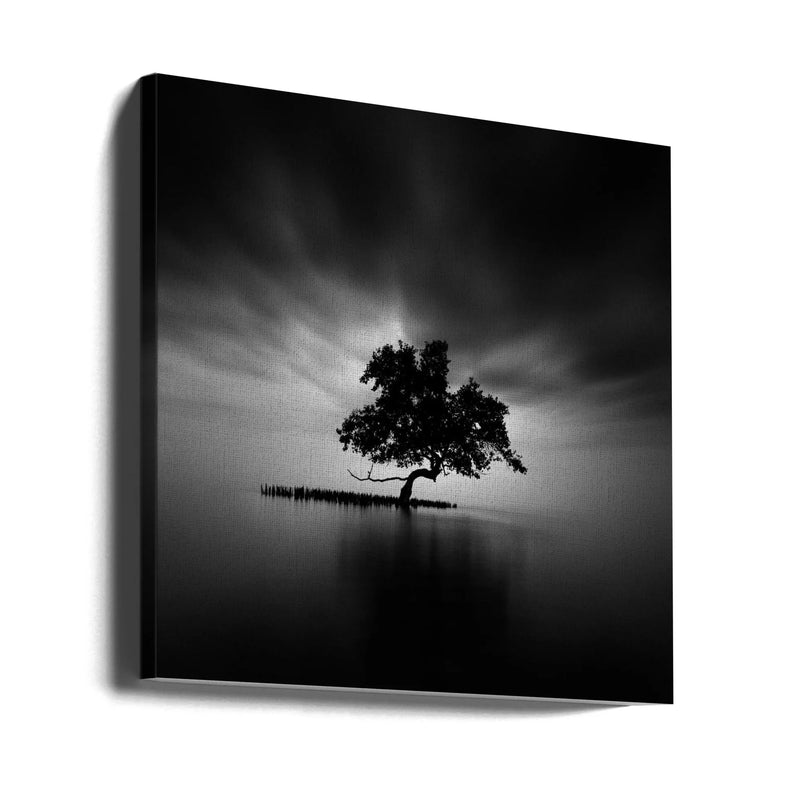 Back Light by Rony Tjayana Square Canvas Print Art for Modern Home Decor. Decorate your office or living room with canvas artwork
