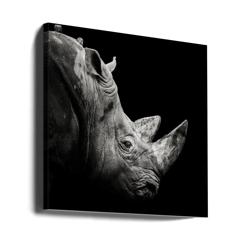 Rhino by Christian Meermann Square Canvas Print Art for Modern Home Decor. Decorate your office or living room with canvas artwork