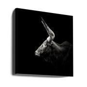 Watusi Square Canvas Art  Christian Meermann 