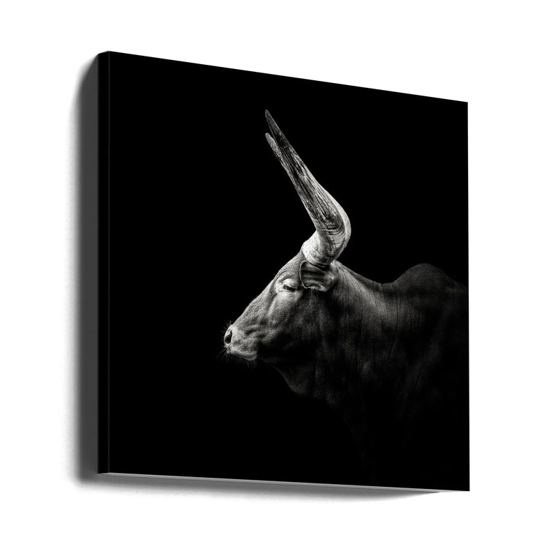 Watusi Square Canvas Art  Christian Meermann 