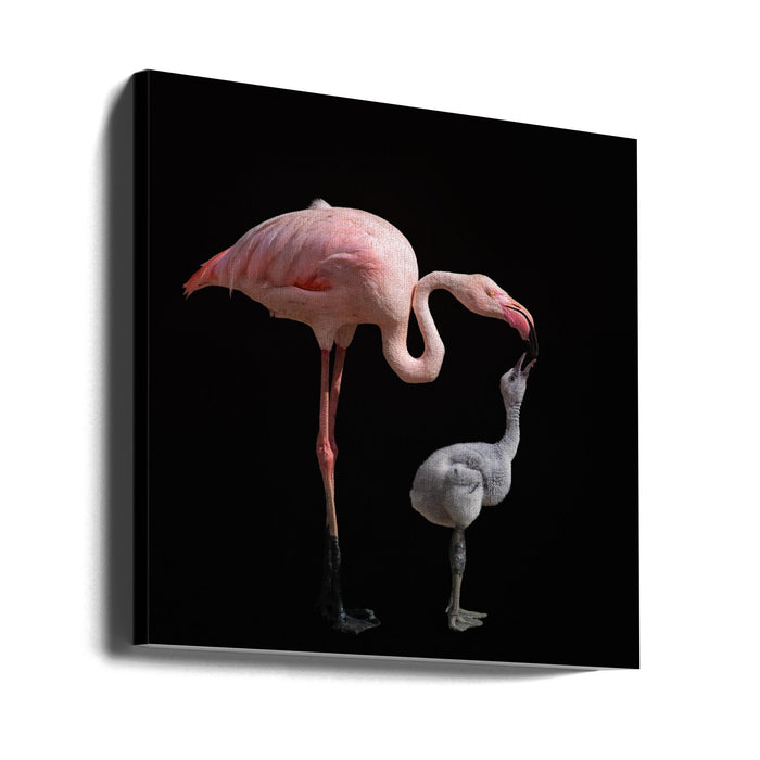 Become pink Square Canvas Art Print