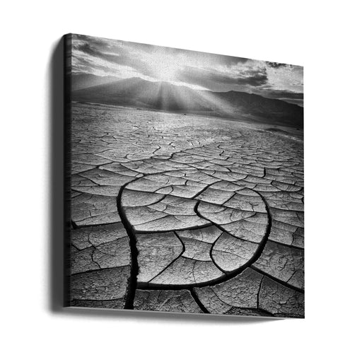 Arid by Yi Fan Square Canvas Print Art for Modern Home Decor. Decorate your office or living room with canvas artwork