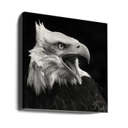 The American Eagle by Vincent Willems Square Canvas Print Art for Modern Home Decor. Decorate your office or living room with canvas artwork