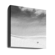 Single tree by MOSTAFA NODEH Square Canvas Print Art for Modern Home Decor. Decorate your office or living room with canvas artwork