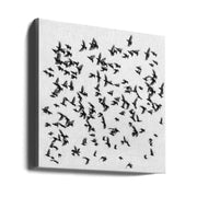 Birds by Branko Markovic Square Canvas Print Art for Modern Home Decor. Decorate your office or living room with canvas artwork