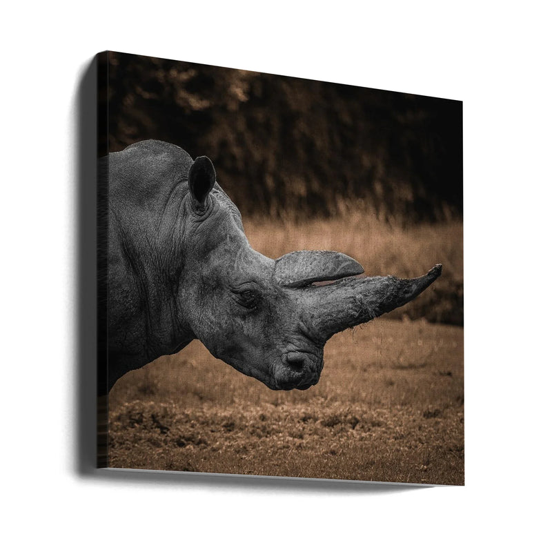 Rhinoceros by Georgios Tsikiridis Square Canvas Print Art for Modern Home Decor. Decorate your office or living room with canvas artwork