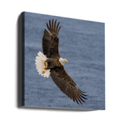 Show Off the Catch by John Fan Square Canvas Print Art for Modern Home Decor. Decorate your office or living room with canvas artwork
