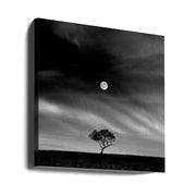 Stories under the Moon (No.5) by Hsiao-Yang Fei Square Canvas Print Art for Modern Home Decor. Decorate your office or living room with canvas artwork