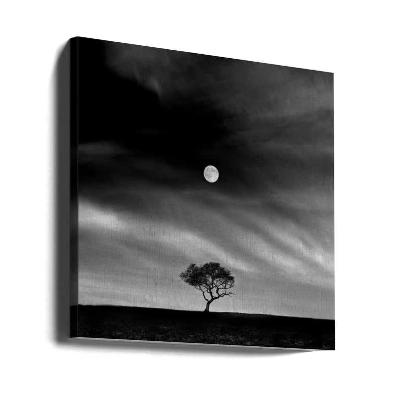 Stories under the Moon (No.5) by Hsiao-Yang Fei Square Canvas Print Art for Modern Home Decor. Decorate your office or living room with canvas artwork