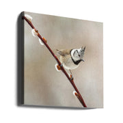 Sweet! by Annie Keizer Square Canvas Print Art for Modern Home Decor. Decorate your office or living room with canvas artwork