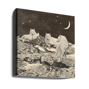 Giant White Wolves Square Canvas Art  Florent Bodart 