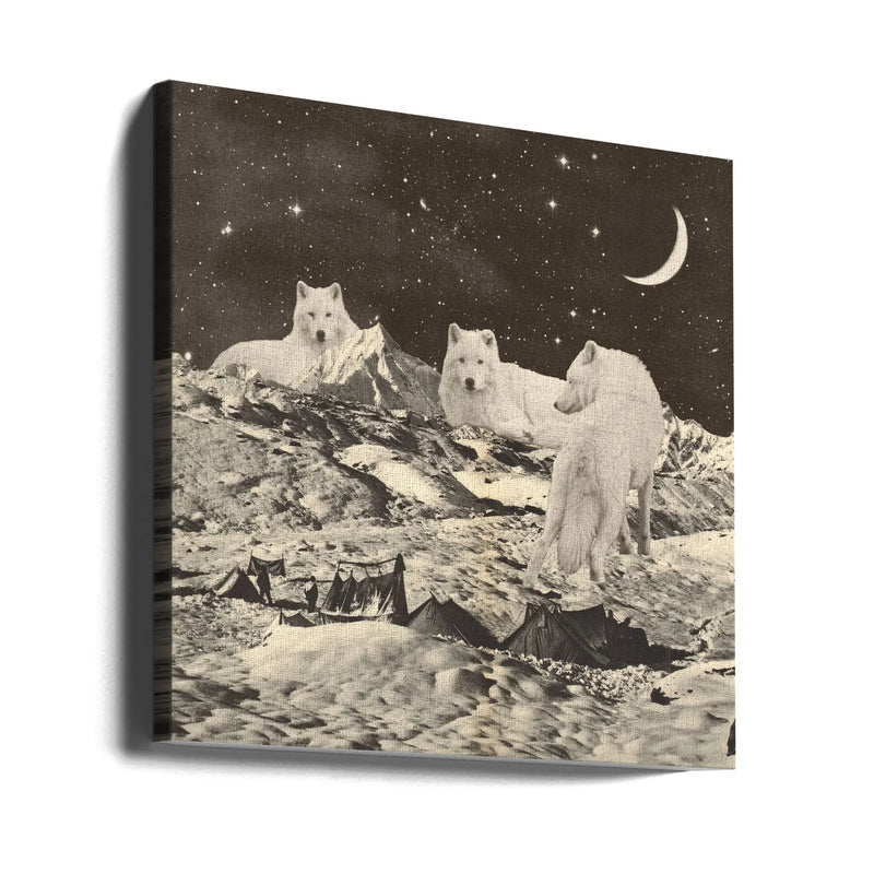 Giant White Wolves Square Canvas Art  Florent Bodart 