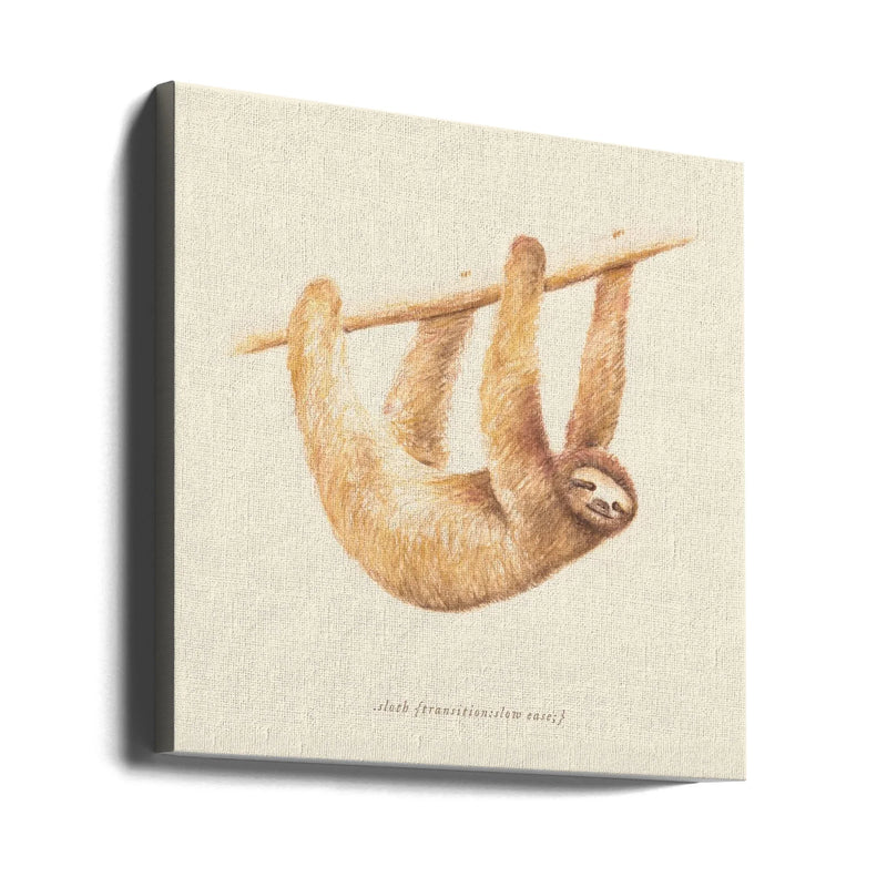 Css Animals   Sloth Square Canvas Art  Florent Bodart 