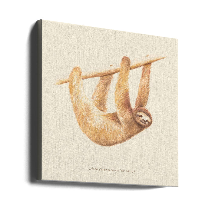 Css Animals   Sloth Square Canvas Art Print