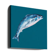 Leaping Salmon Square Canvas Art  Alice Straker 