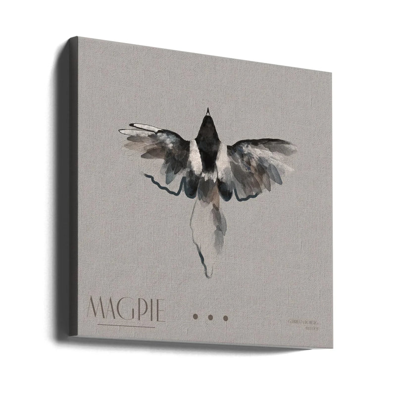 Magpie Square Canvas Art  Gabriella Roberg 