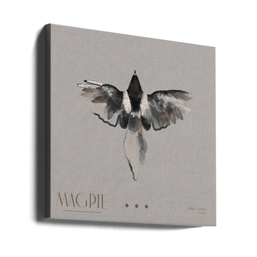 Magpie Square Canvas Art  Gabriella Roberg 
