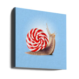 Snail Candy Square Canvas Art  Artem Pozdniakov 