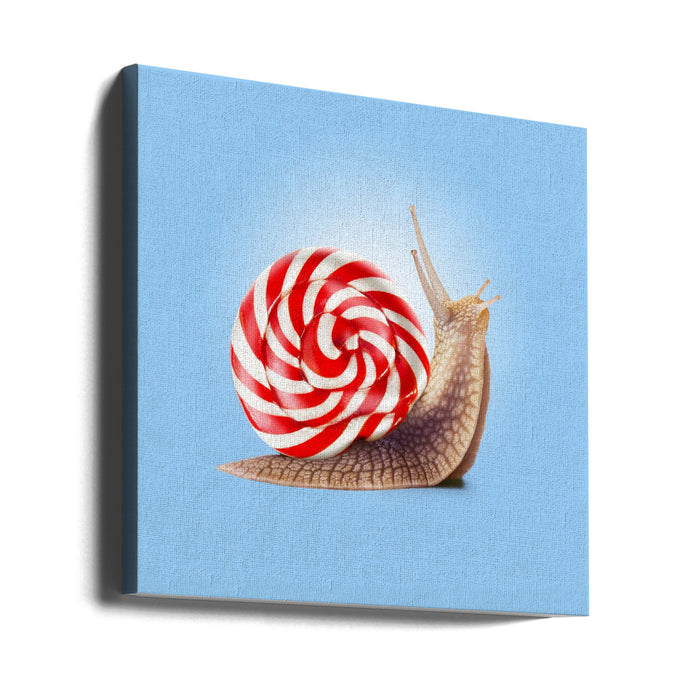 Snail Candy Square Canvas Art Print