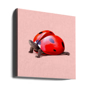 Ladybug Turtle Square Canvas Art  Artem Pozdniakov 