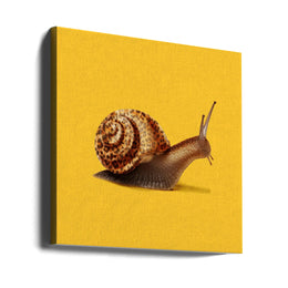 Fast like Cheetah by Artem Pozdniakov Square Canvas Print Art for Modern Home Decor. Decorate your office or living room with canvas artwork