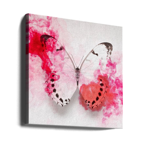 White Morpho Butterfly With Crimson Ink by Alyson Fennell Square Canvas Print Art for Modern Home Decor. Decorate your office or living room with canvas artwork