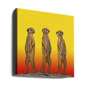 Meerkat Gang at Sunset by Carlo Kaminski Square Canvas Print Art for Modern Home Decor. Decorate your office or living room with canvas artwork