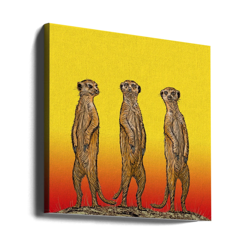 Meerkat Gang at Sunset by Carlo Kaminski Square Canvas Print Art for Modern Home Decor. Decorate your office or living room with canvas artwork