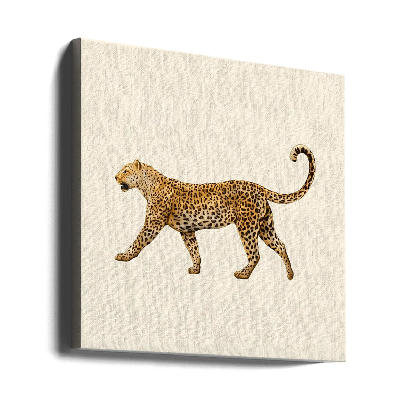Leopard by Giulia Borsi Square Canvas Print Art for Modern Home Decor. Decorate your office or living room with canvas artwork